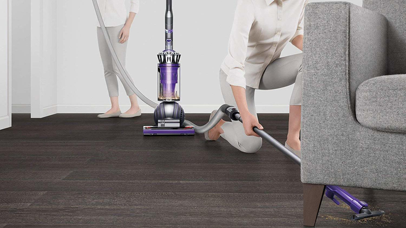 Dyson Ball Animal 2 | $275 | AmazonFoto: Amazon